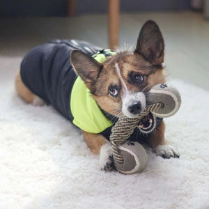 The Ultimate Chew Toy for Large Dogs