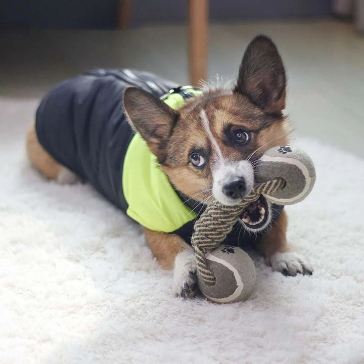 The Ultimate Chew Toy for Large Dogs