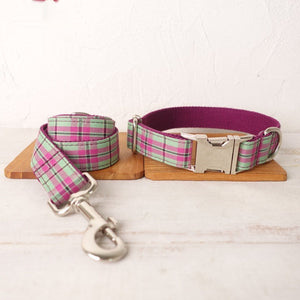 Discover the Ultimate Dog Collar Pet Traction Belt Suit