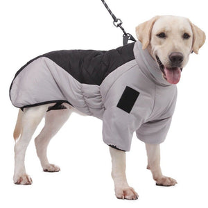 Keep Your Furry Friends Cozy with Our New Winter Dog Coat