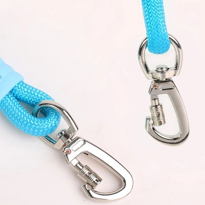 Enhance Your Walks with Our Versatile Pet Traction Leashes