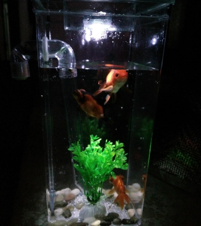 Goldfish filter cylinder self-cleaning small desktop fish tank
