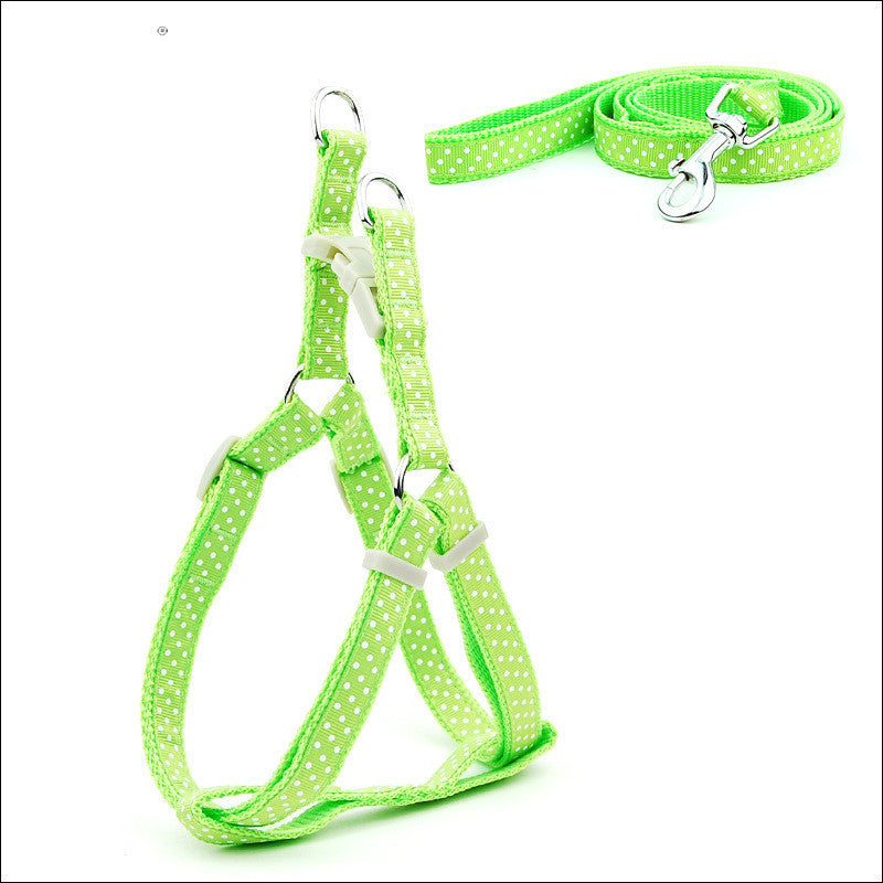 Factory Direct Spot Pet Leashes Polka