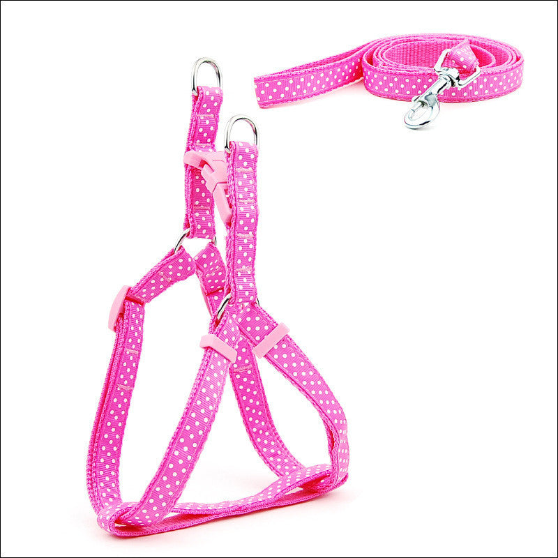 Factory Direct Spot Pet Leashes Polka