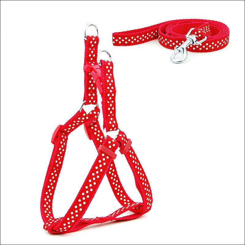 Factory Direct Spot Pet Leashes Polka