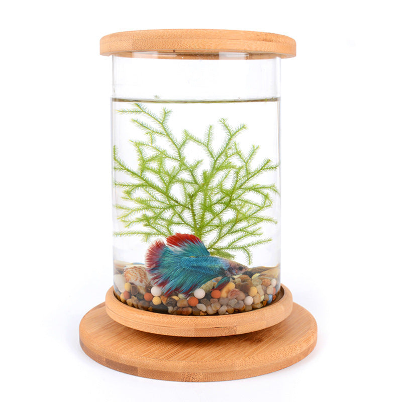 Small Office Glass Aquarium Bamboo Base Mini Fish