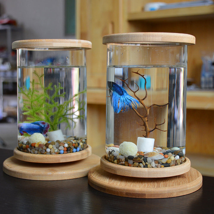 Small Office Glass Aquarium Bamboo Base Mini Fish