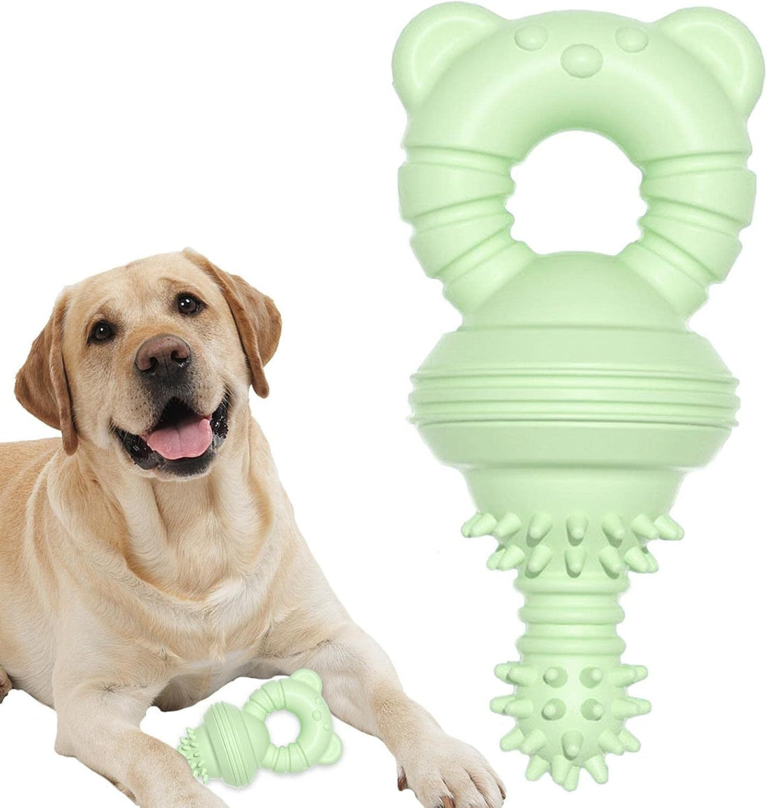 Molar Teeth Rubber Toy For Aggressive Chewers