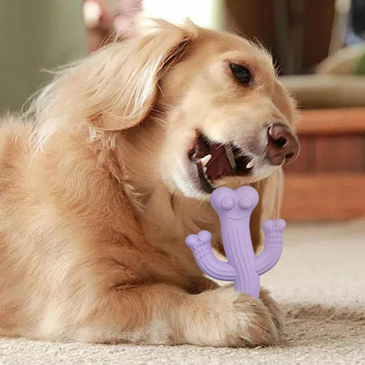 Cactus Puppy Chew Toy