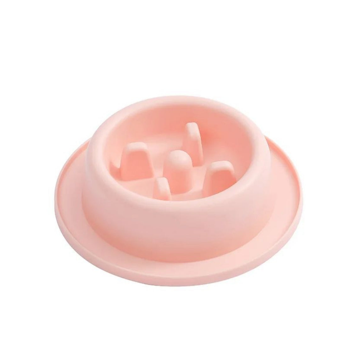 Pet Slow Eating Feeder Bowls