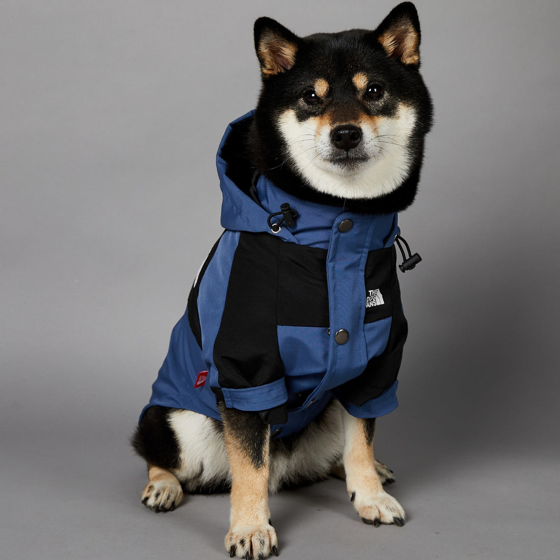 Windproof And Rainproof Large Dog Raincoat