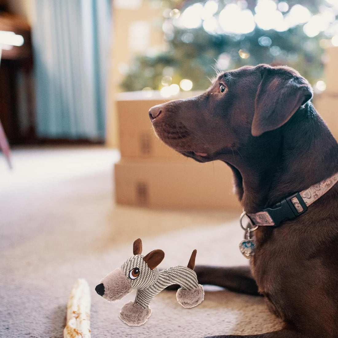 Large Dog Squeaky Toys For Large Dogs