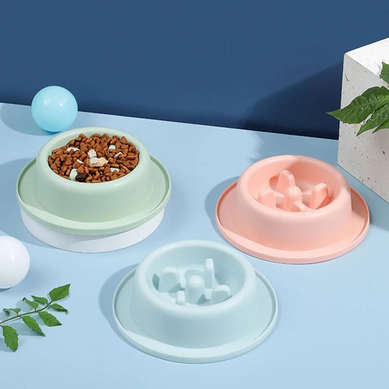 Pet Slow Eating Feeder Bowls