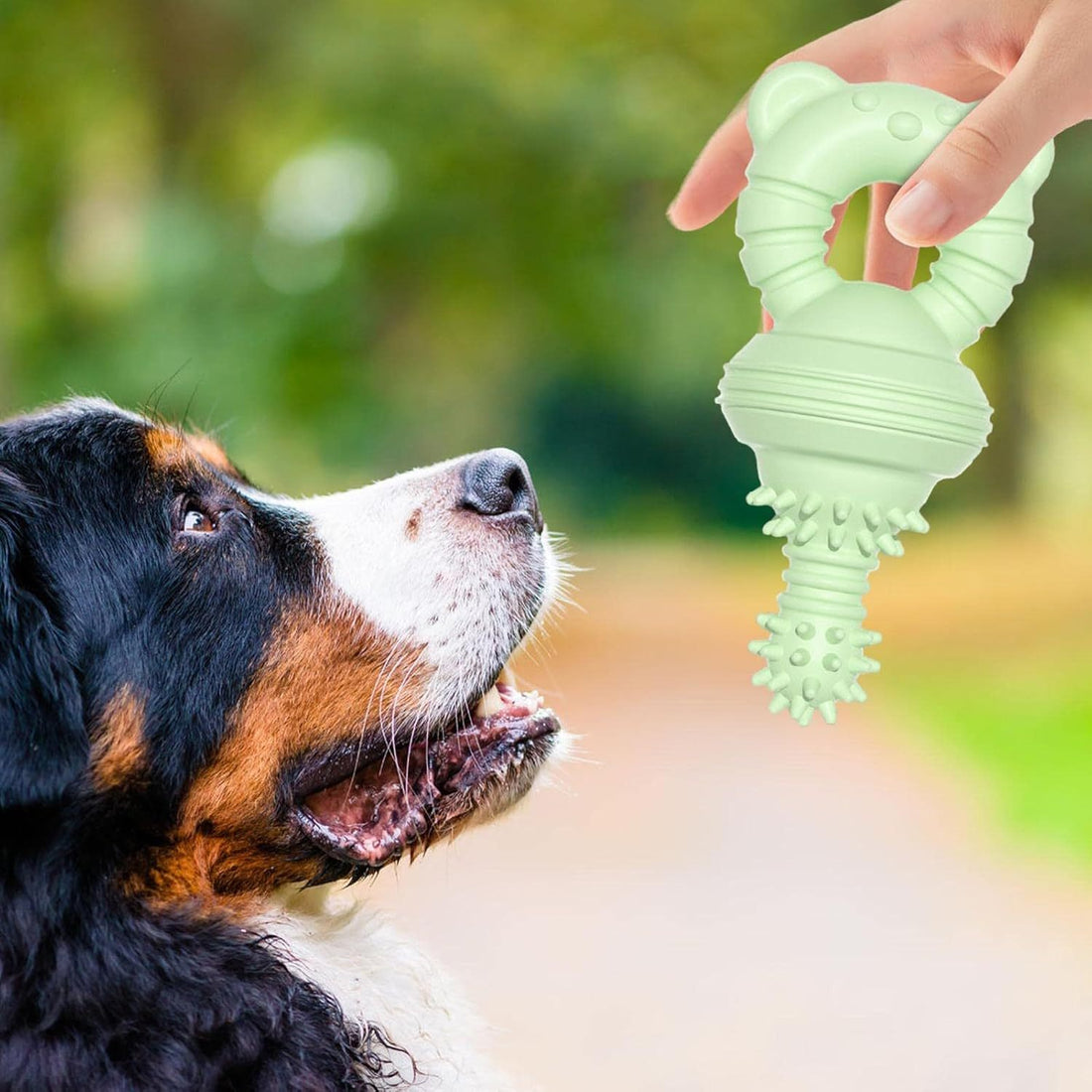 Molar Teeth Rubber Toy For Aggressive Chewers