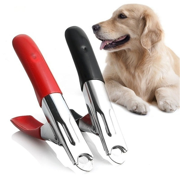 Nail Clippers For Dogs
