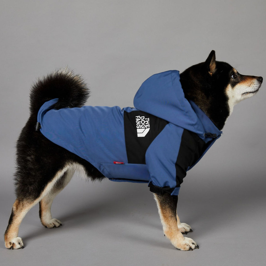 Windproof And Rainproof Large Dog Raincoat