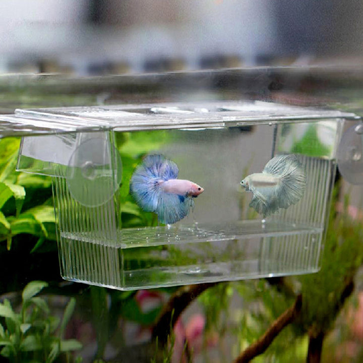 aquarium fish box Acrylic Aquarium Fish Tank Incubation Box – Pawsitive Gear Co