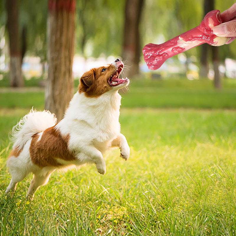 Pet Bone Molar Stick Bite Resistant Large Dog Chew Toy
