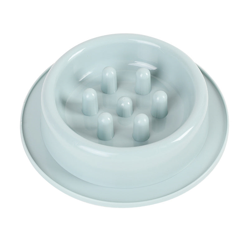 Pet Slow Eating Feeder Bowls