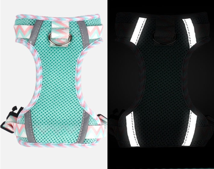 Dog Hand Holding Rope Vest Pet Harness