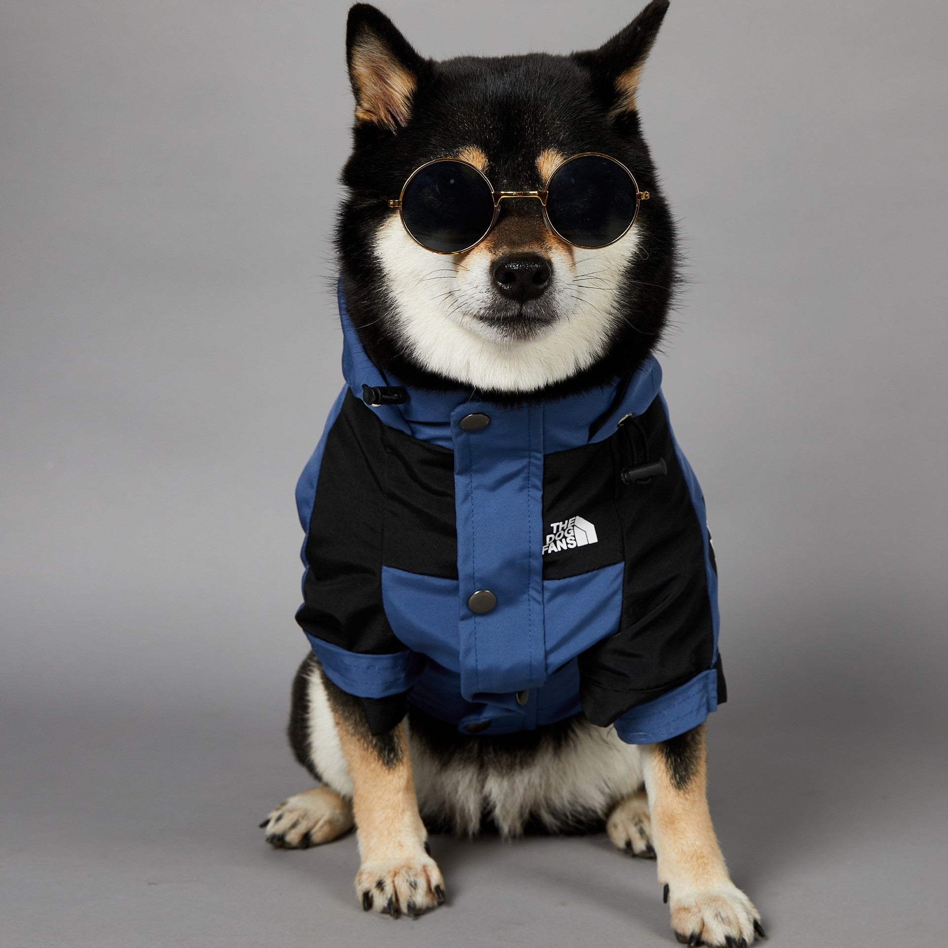 Windproof And Rainproof Large Dog Raincoat