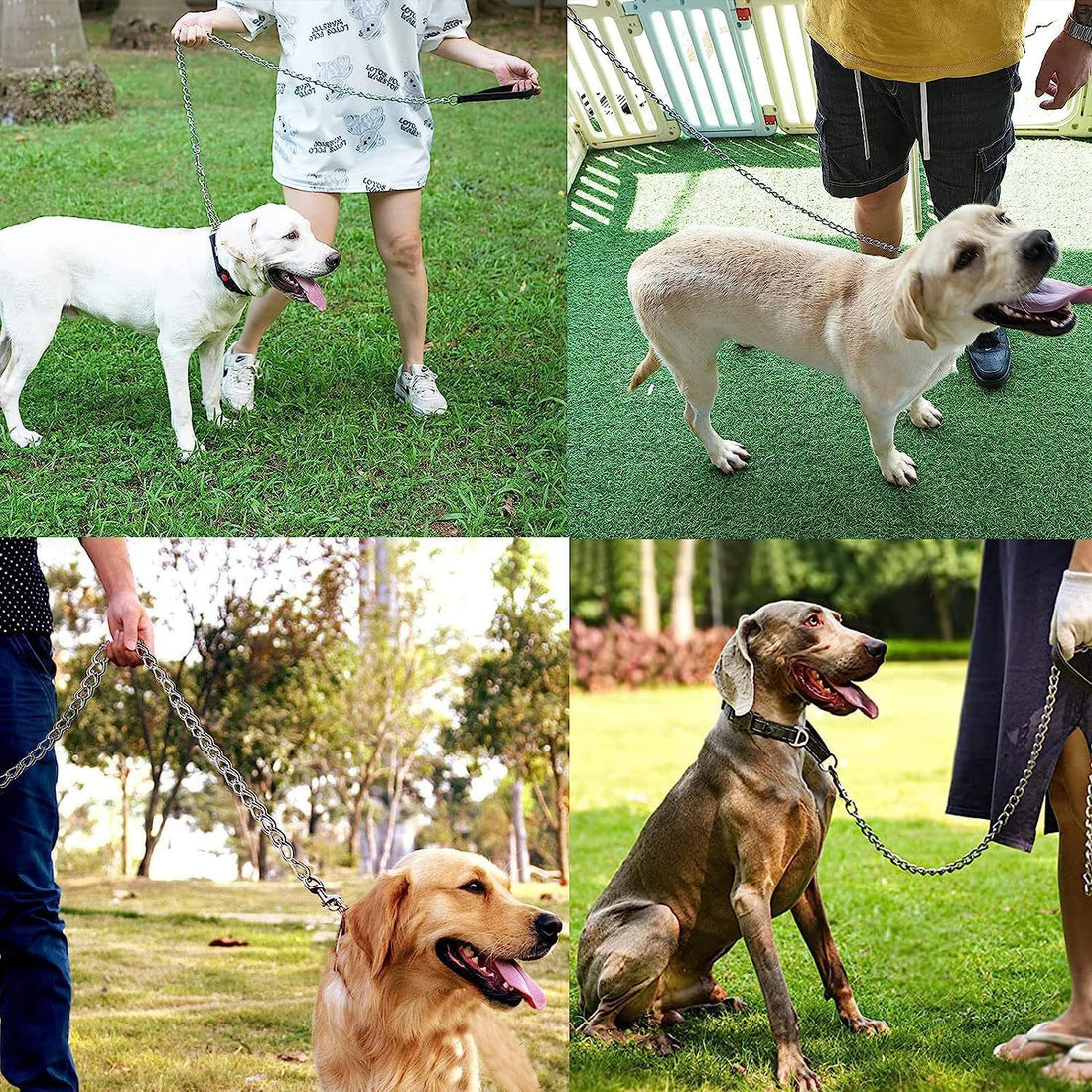 Heavy Duty Metal Dog Leash For Large Size Dogs