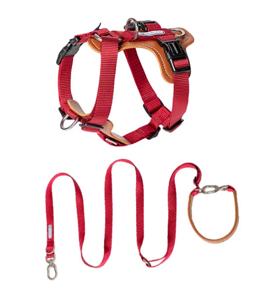 Multifunctional Explosion-proof Dog Leash