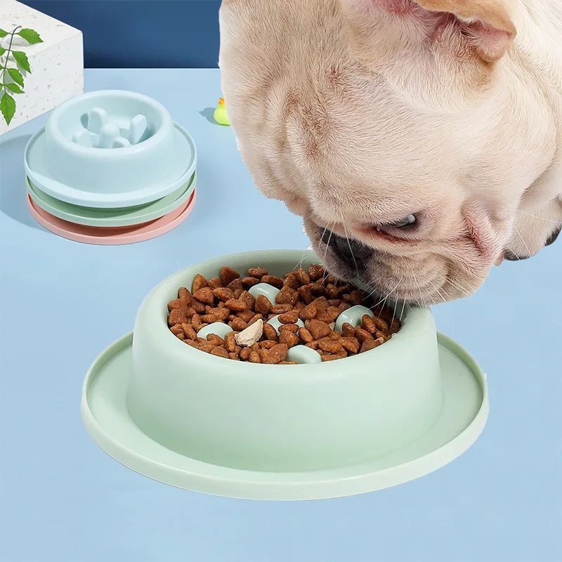 Pet Slow Eating Feeder Bowls