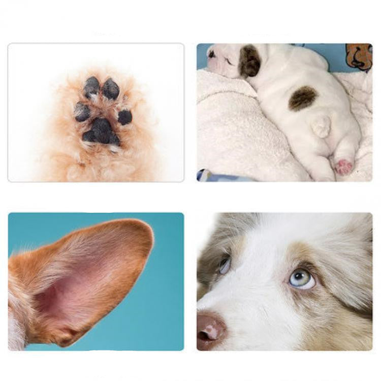 Rechargeable Pet Grooming Hair Trimmer