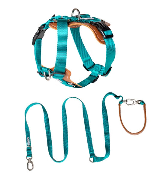 Multifunctional Explosion-proof Dog Leash