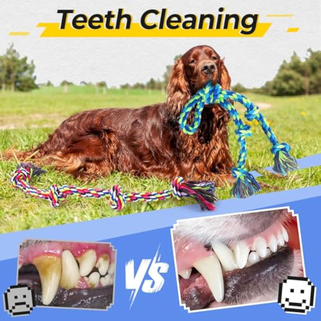 Heavy Duty Dog Rope Toy For Aggressive Chewers