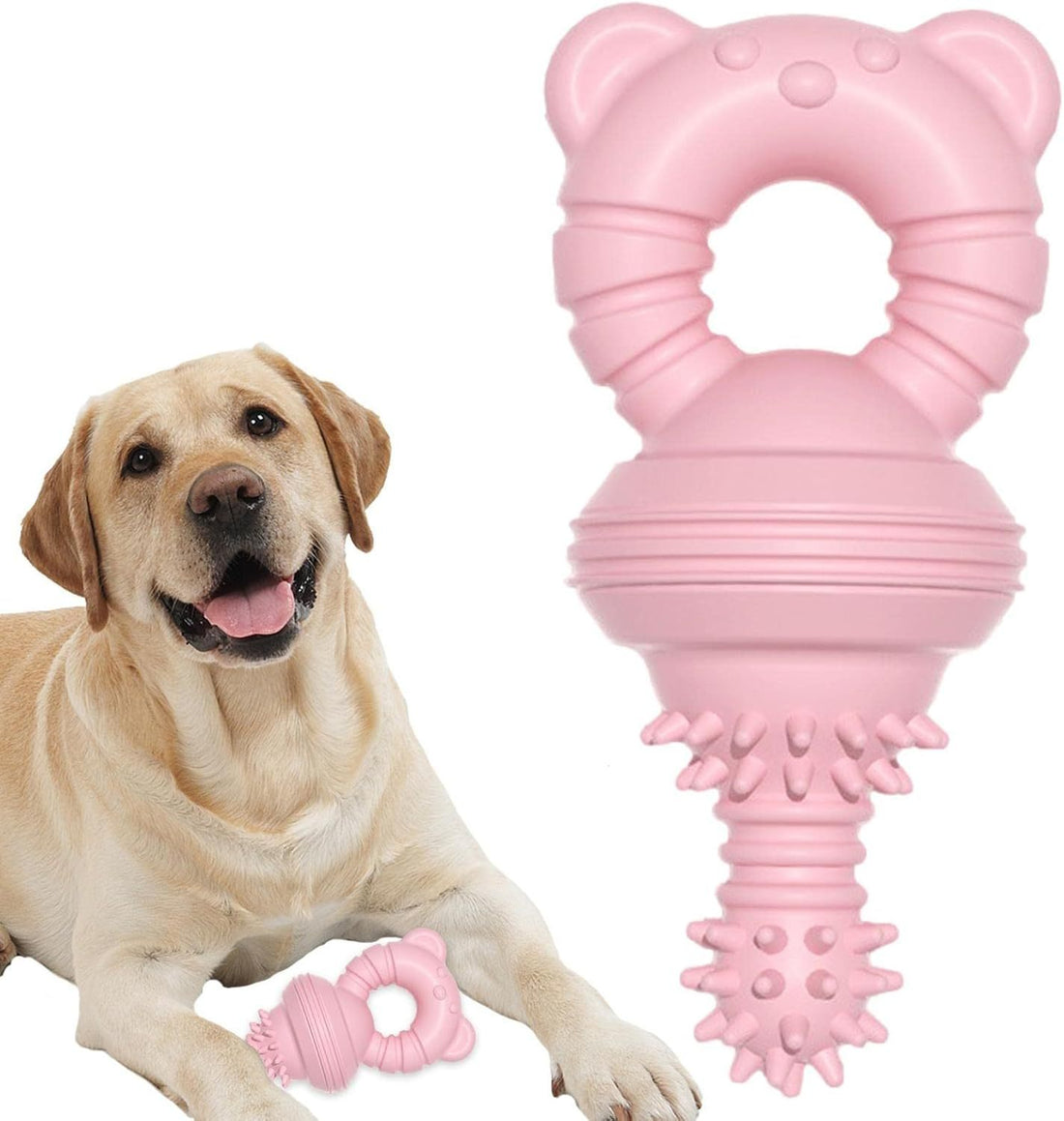 Molar Teeth Rubber Toy For Aggressive Chewers