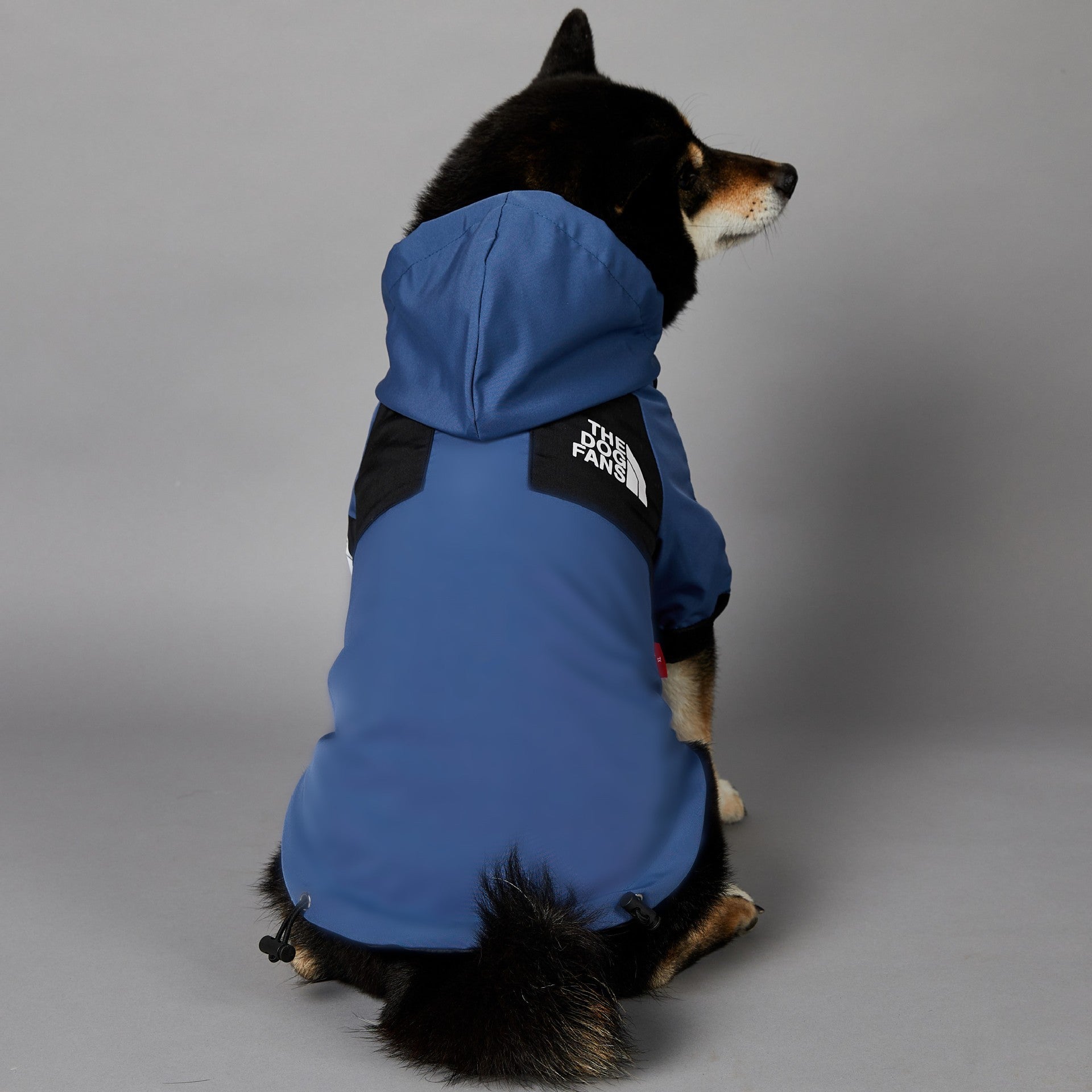 Windproof And Rainproof Large Dog Raincoat