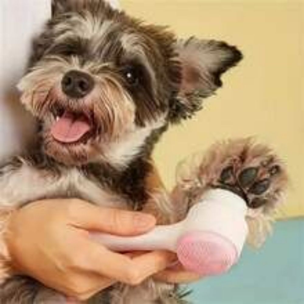 Easy Clean Nylon Pet Paw Brush Gentle