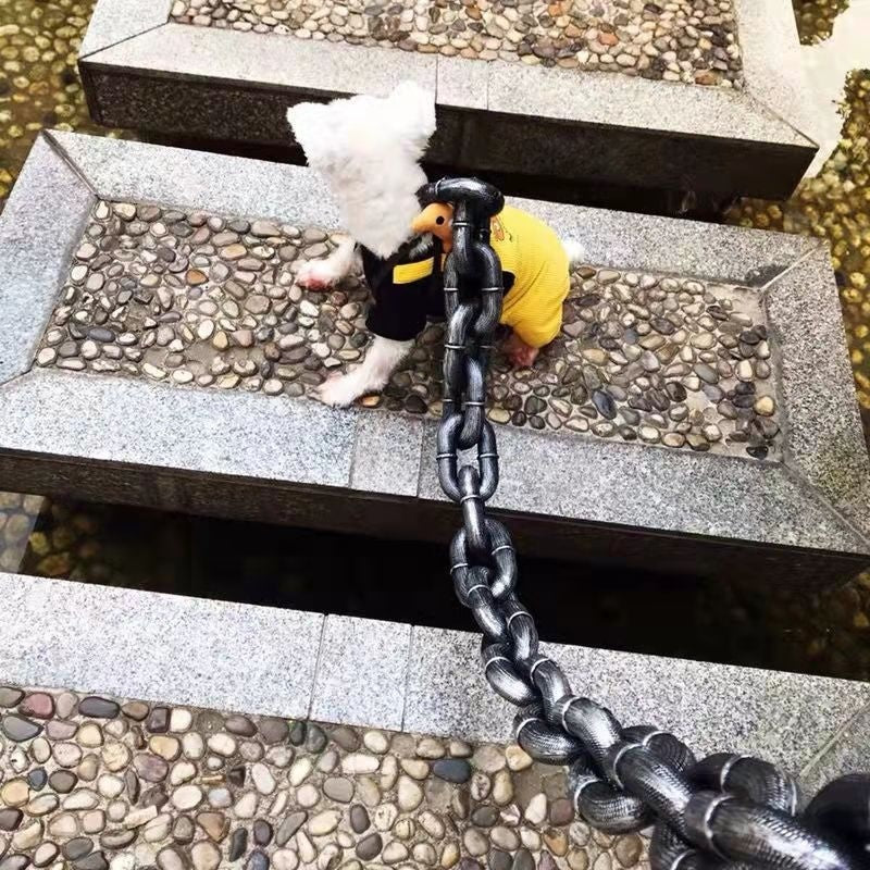 Internet Celebrity Same Style Dog Leash