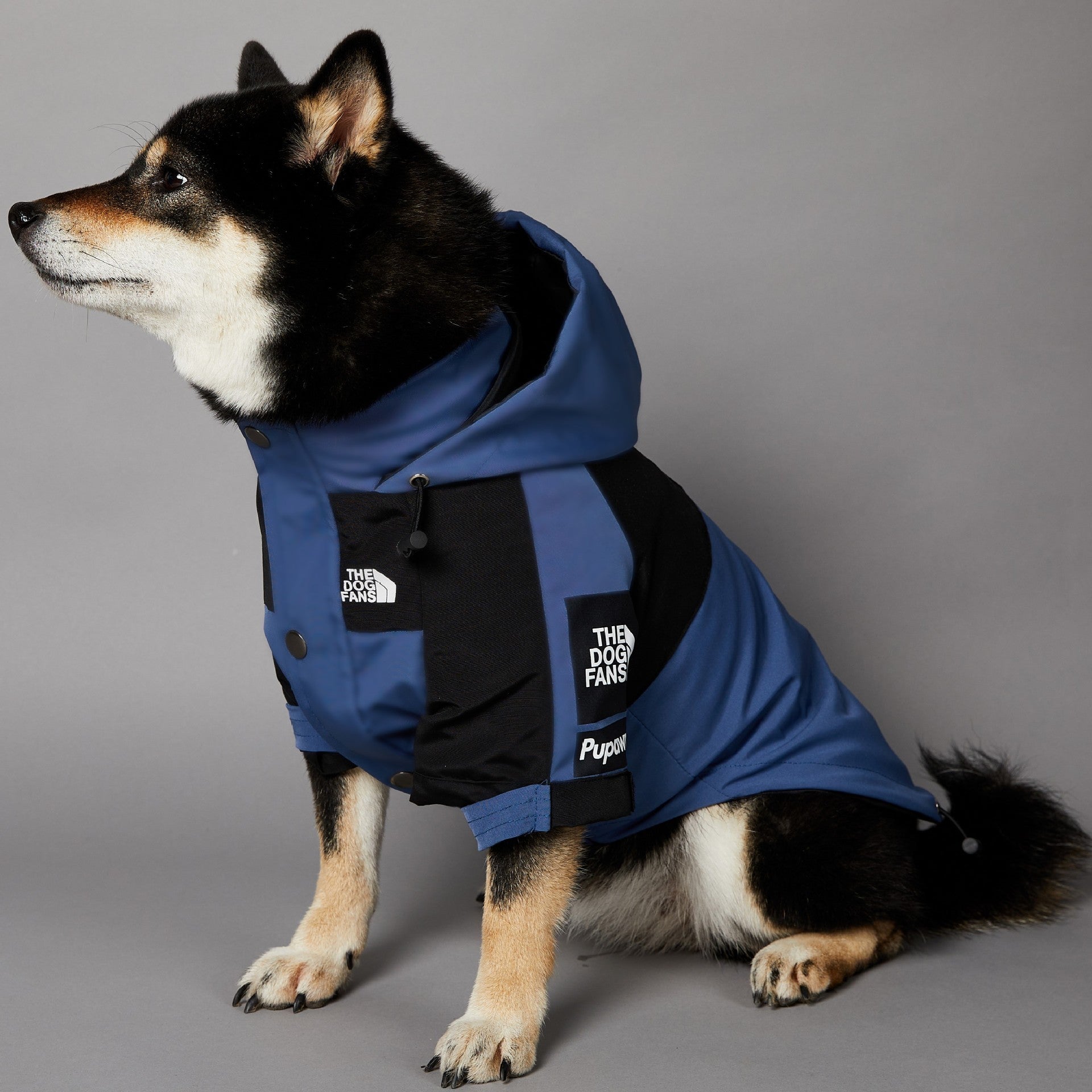 Windproof And Rainproof Large Dog Raincoat
