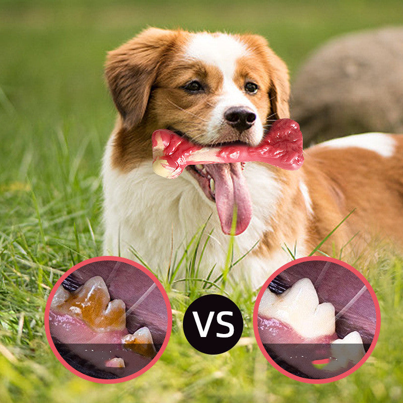 Pet Bone Molar Stick Bite Resistant Large Dog Chew Toy