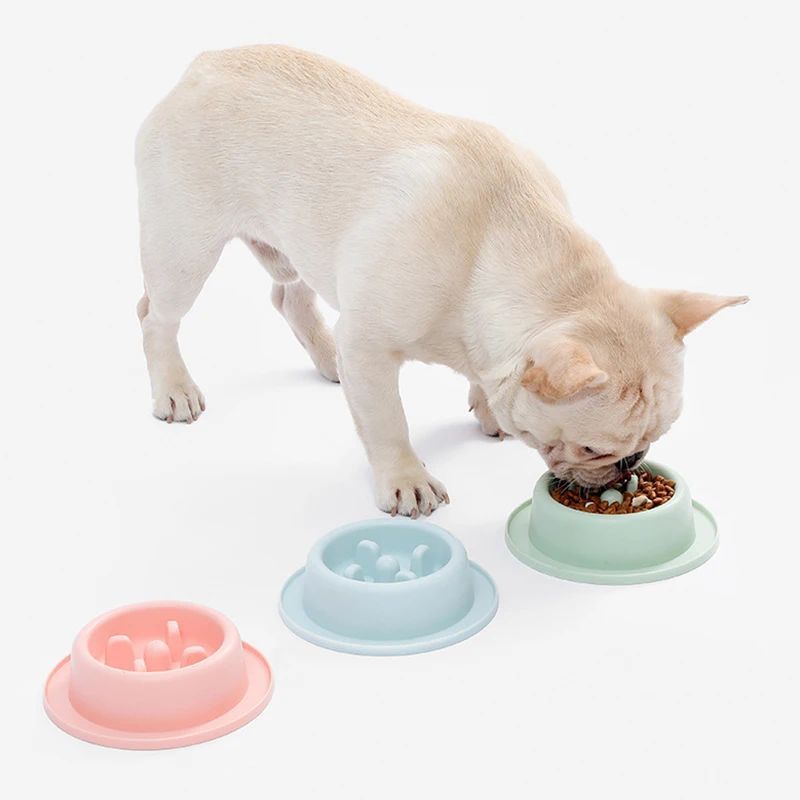 Pet Slow Eating Feeder Bowls