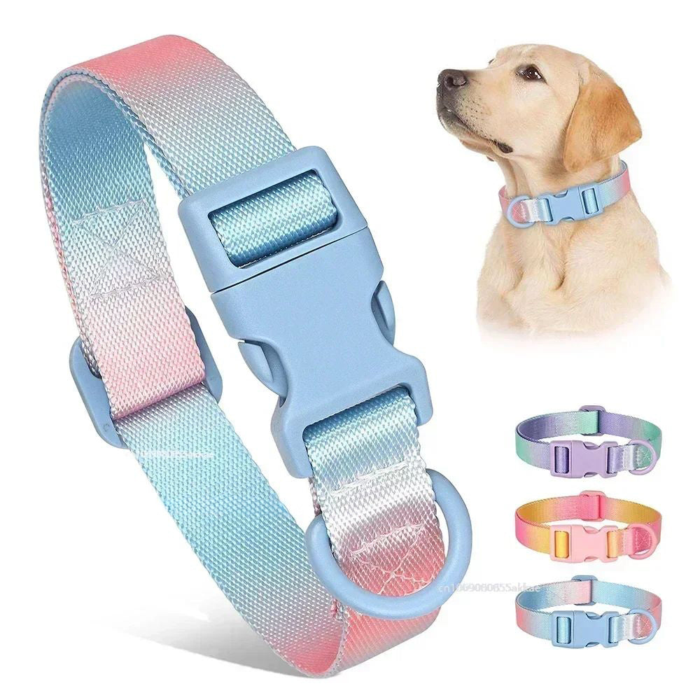Nylon Dog Collar Adjustable Cat Small Dog Collars