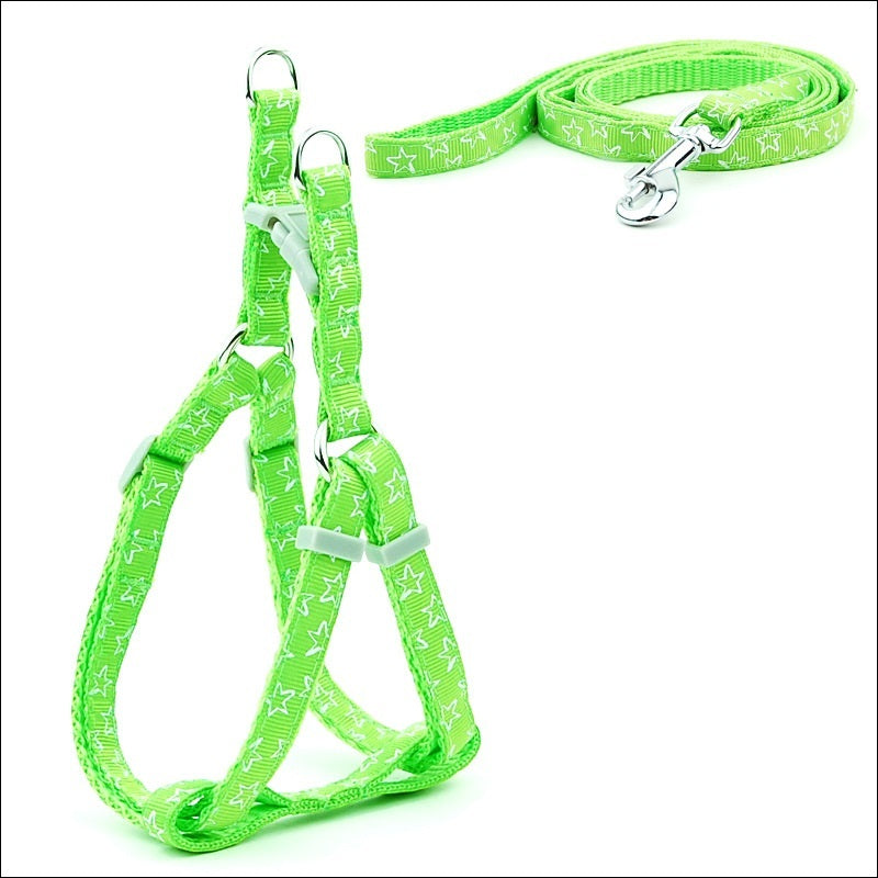 Factory Direct Spot Pet Leashes Polka
