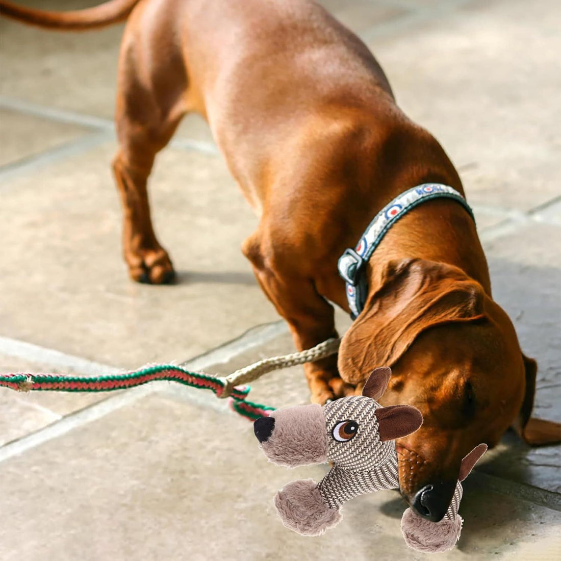 Large Dog Squeaky Toys For Large Dogs