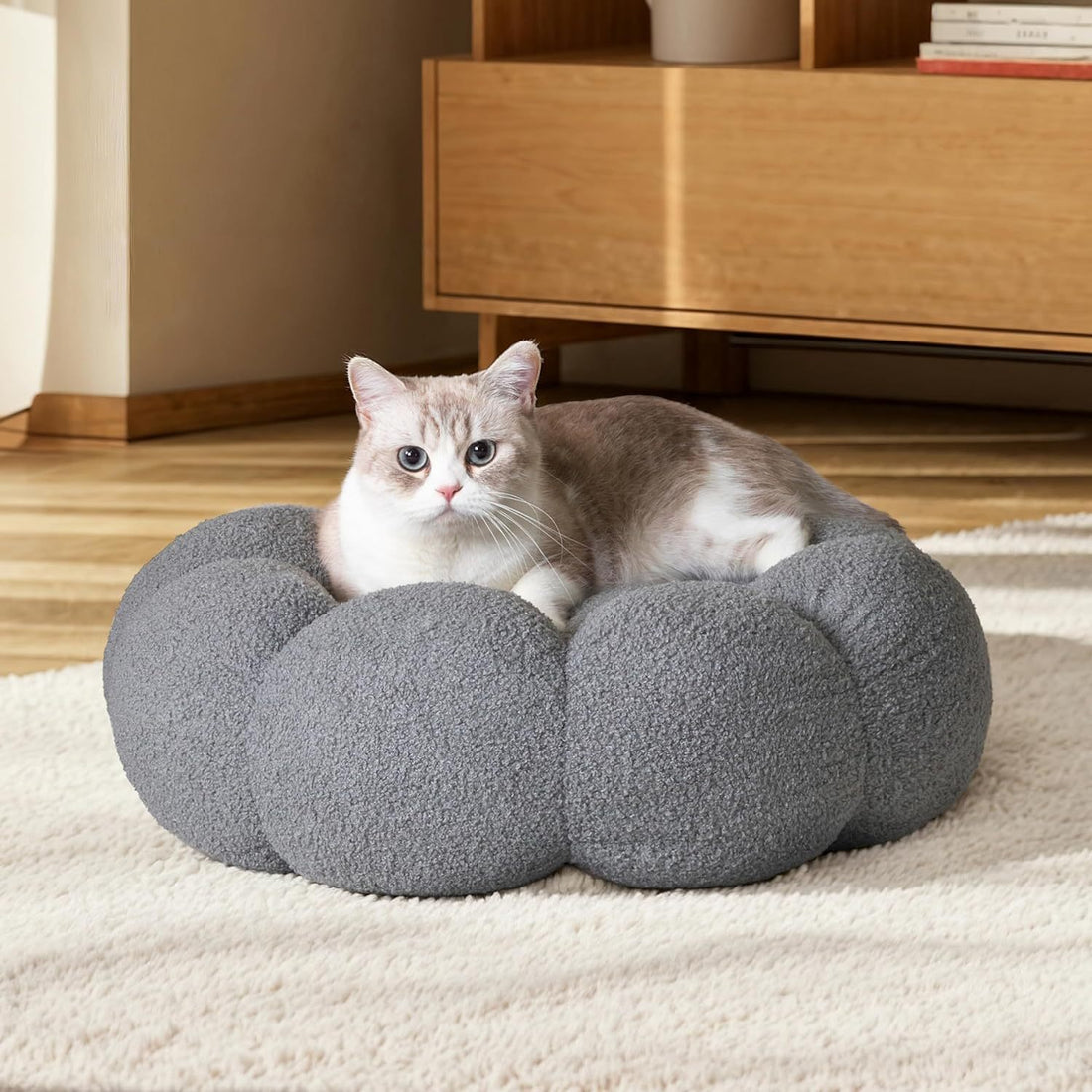 Calming Cat Beds For Indoor Cats Fluffy